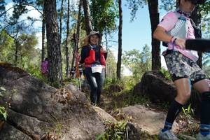 BIB: 
                            <button type="button" onclick="openModal(18963198)" class="btn btn-primary btn-sm float-right btn-popup" data-toggle="modal" data-target=".modal-high-quality">
                        <i class="fas fa-shopping-cart"></i> Add to Cart
                    </button>
                                            <button type="button" onclick="isThisMe(18963198, true)" class="btn btn-success btn-sm float-right btn-popup btn-isme hidden" data-toggle="tooltip" data-placement="bottom" title="นี่คือรูปของคุณใช่ไหม คลิกที่นี่เพื่อเอาเข้าอัลบั้ม">
                        <i class="fas fa-plus"></i> Add to album
                    </button>
                    <button type="button" onclick="isThisMe(18963198, false)" class="btn btn-warning btn-sm float-right btn-popup btn-isnotme hidden">
                        <i class="fas fa-ban"></i> Remove from album
                    </button>